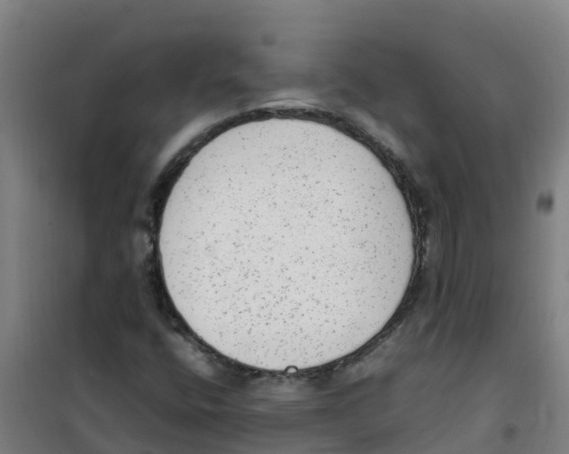 X0000100351400200807031803