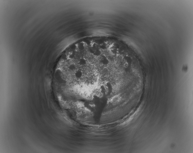 X0000100351401200807031803