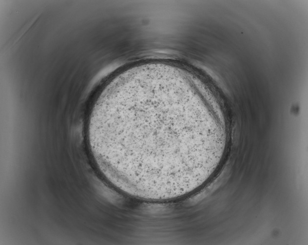 X0000100351402200807031803