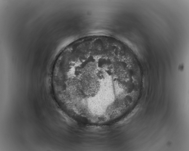 X0000100351405200807031803