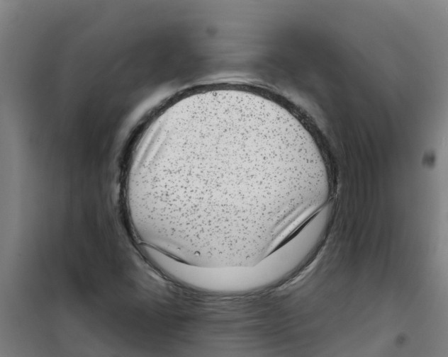 X0000100351406200807031803