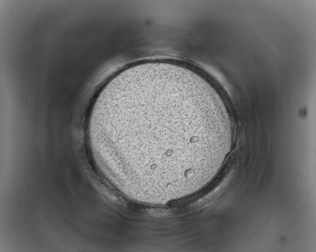 X0000100351407200807031803