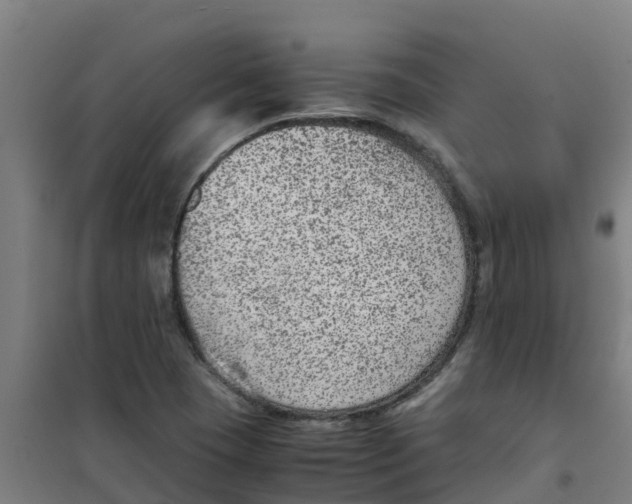 X0000100351409200807031803