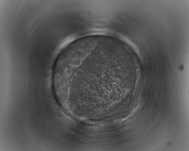 X0000100351411200807031803