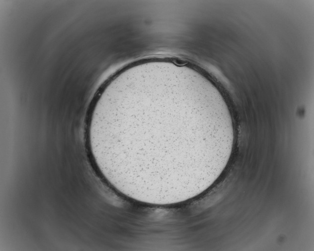 X0000100351412200807031803