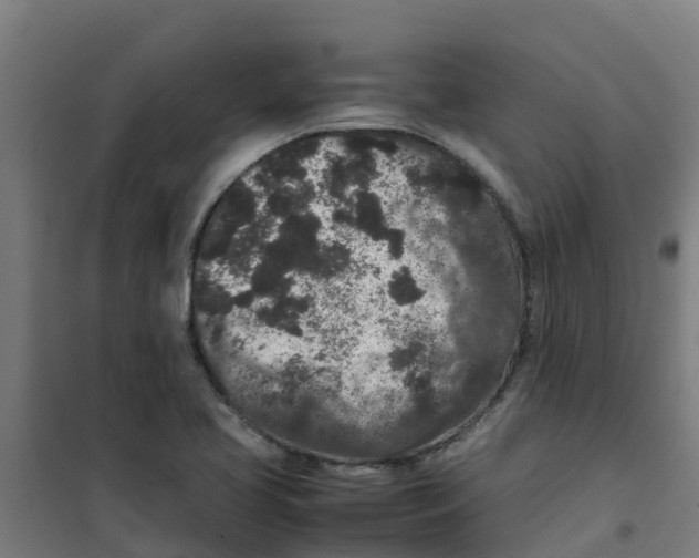 X0000100351413200807031803