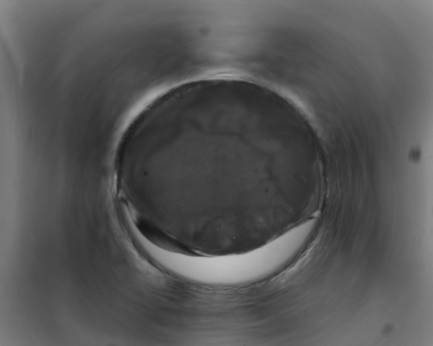 X0000100351414200807031803