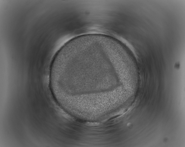 X0000100351415200807031803