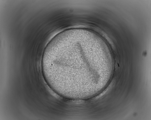 X0000100351417200807031803