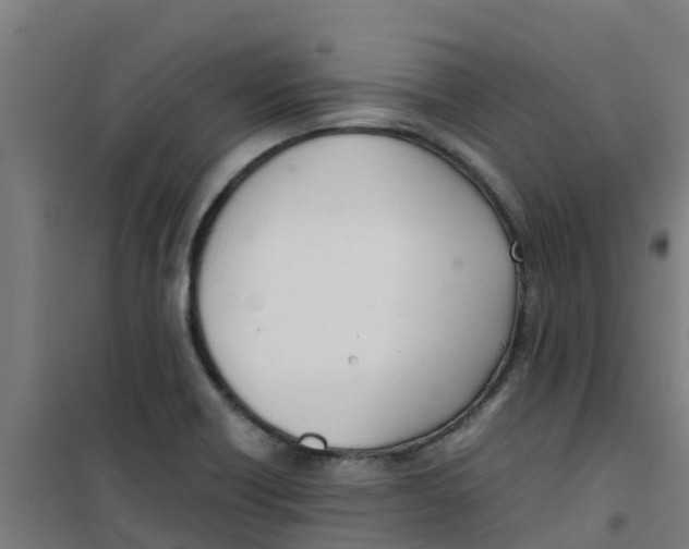 X0000100351418200807031803