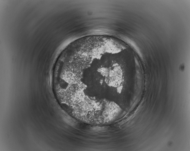 X0000100351419200807031803