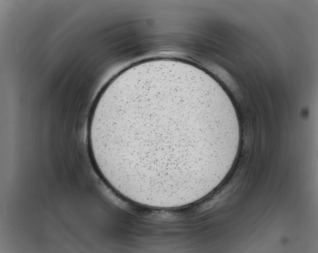 X0000100351420200807031803