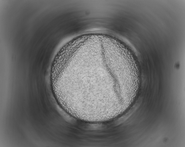 X0000100351421200807031803