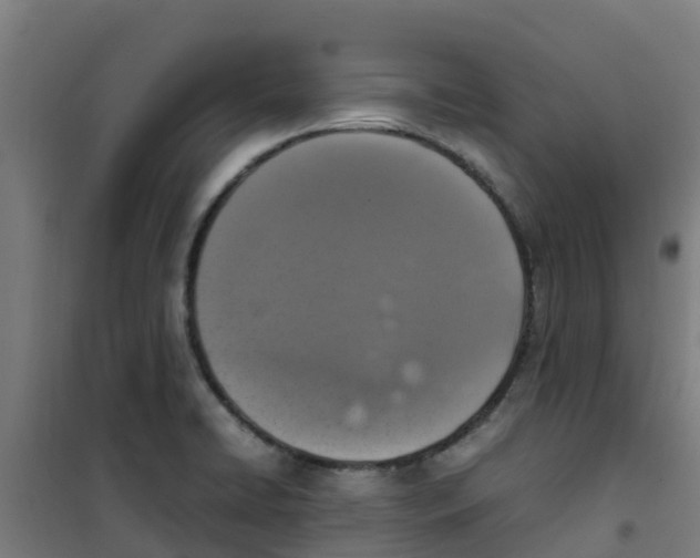 X0000100351422200807031803