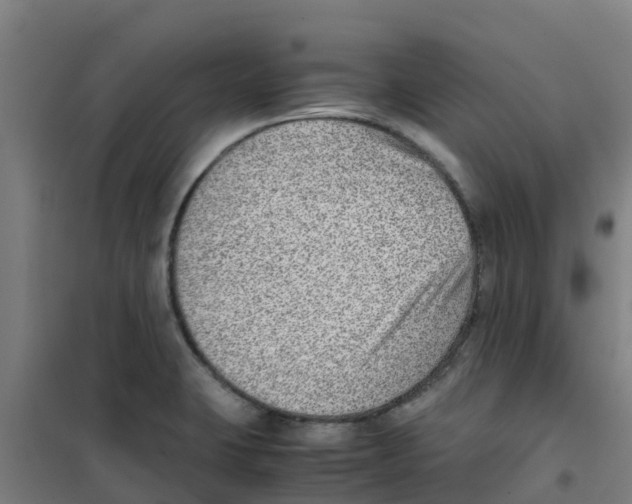 X0000100351423200807031803