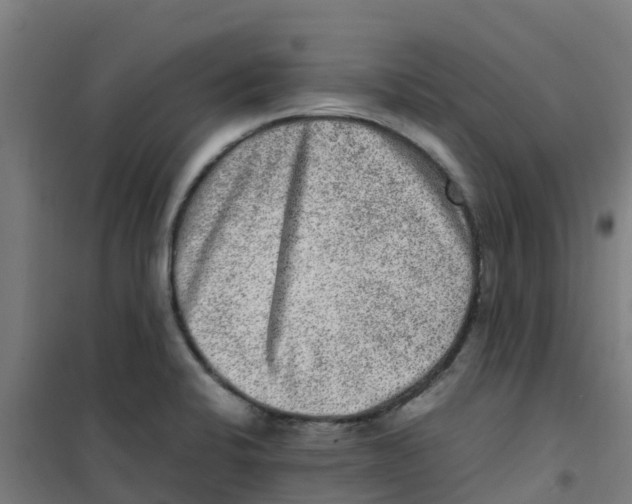 X0000100351424200807031803