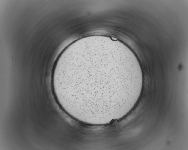 X0000100351426200807031803