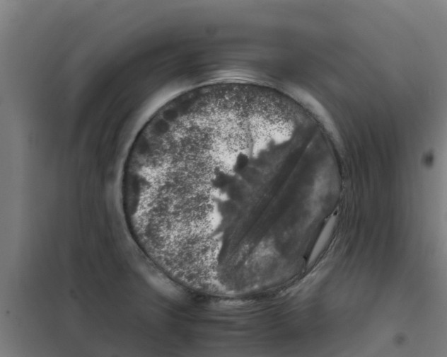 X0000100351427200807031803