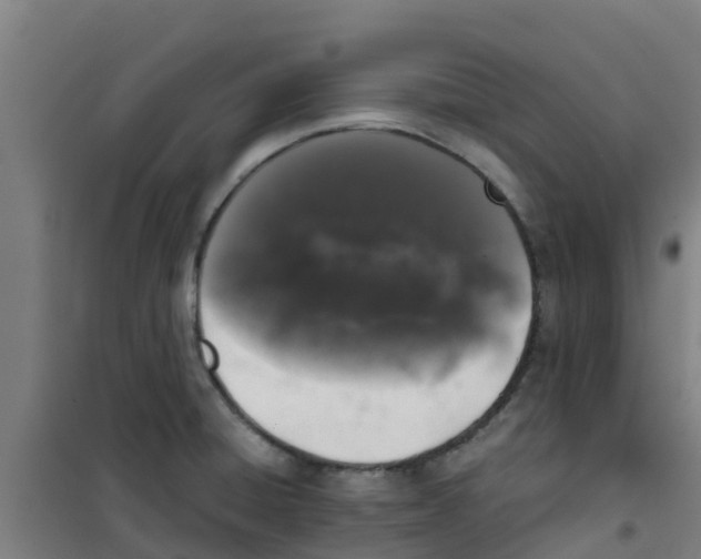 X0000100351428200807031803