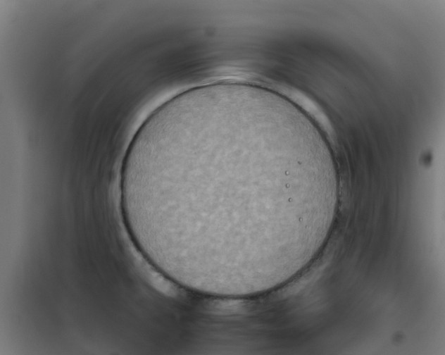 X0000100351431200807031803