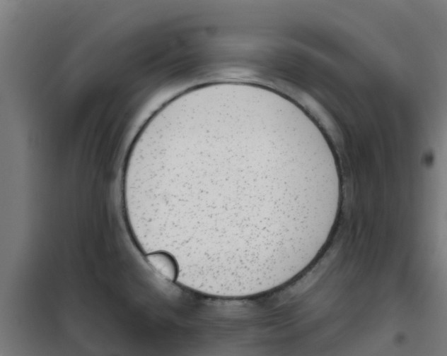 X0000100351432200807031803