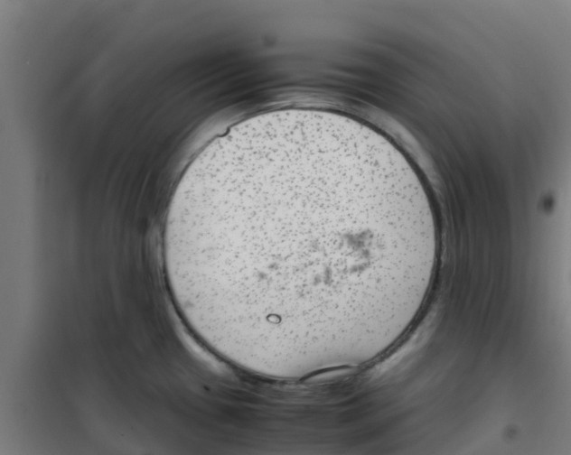 X0000100351433200807031803