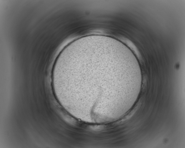 X0000100351435200807031803