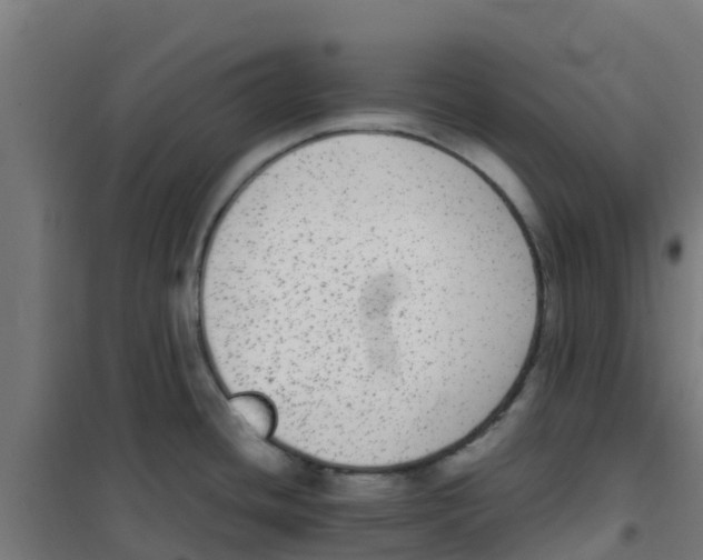 X0000100351436200807031803