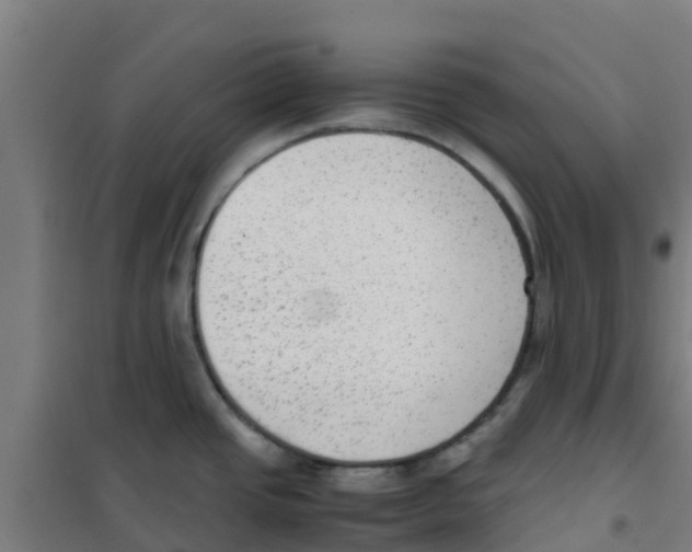 X0000100351437200807031803