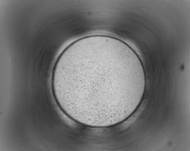 X0000100351438200807031803