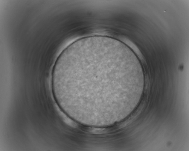 X0000100351439200807031803