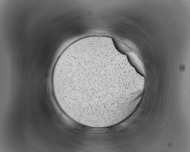 X0000100351440200807031803