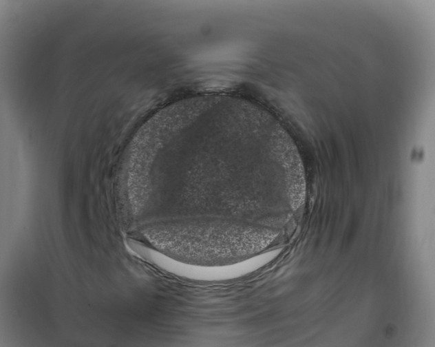 X0000100351441200807031802