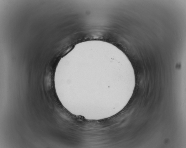 X0000100351442200807031802