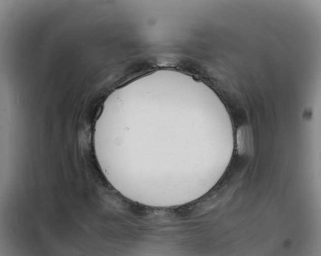 X0000100351443200807031802