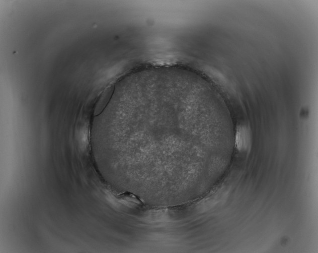 X0000100351444200807031802