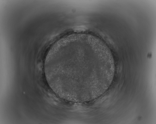 X0000100351445200807031802