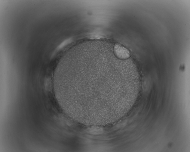 X0000100351446200807031802