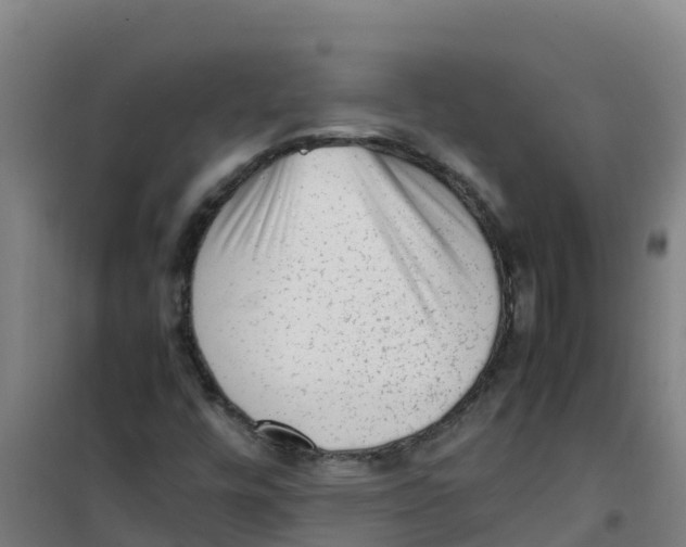 X0000100351448200807031802