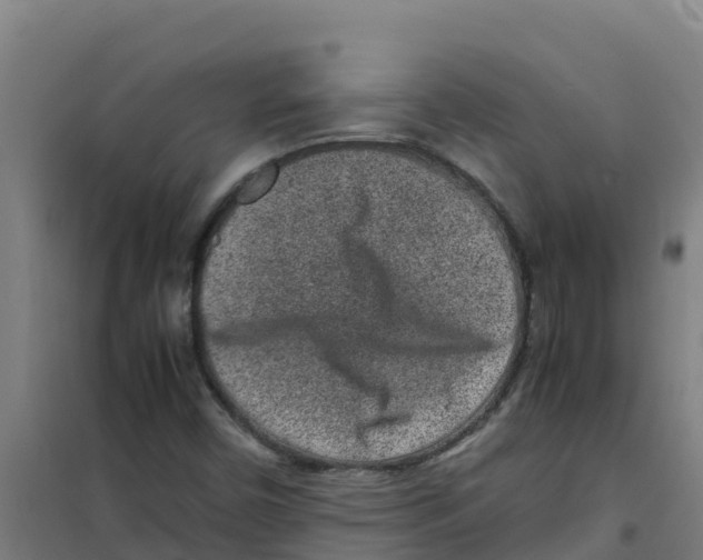 X0000100351450200807031802