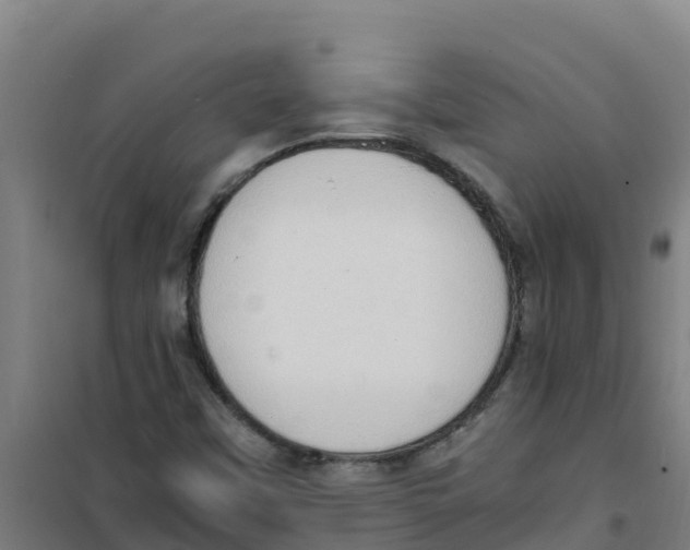 X0000100351451200807031802