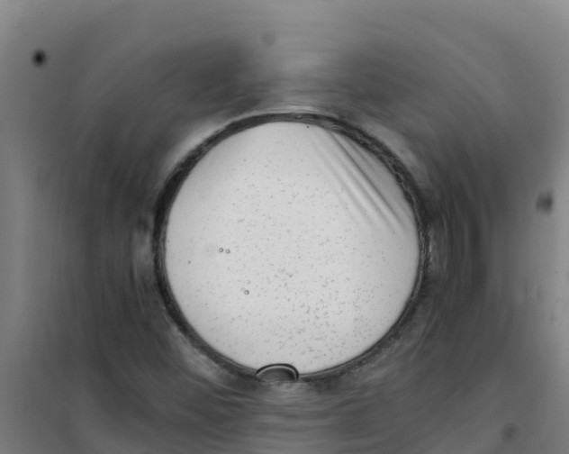 X0000100351452200807031802