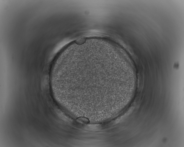 X0000100351453200807031802