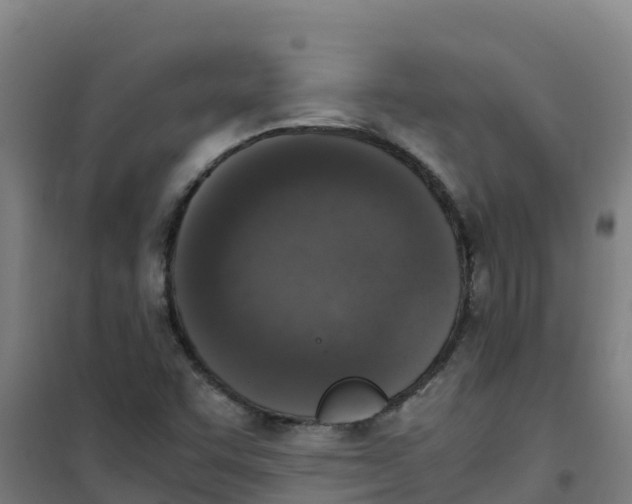 X0000100351455200807031802