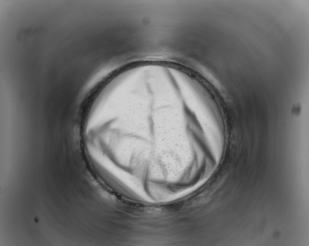 X0000100351456200807031802