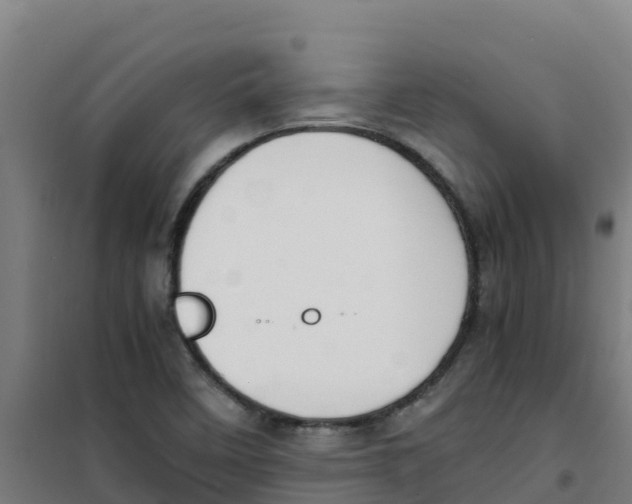 X0000100351458200807031802