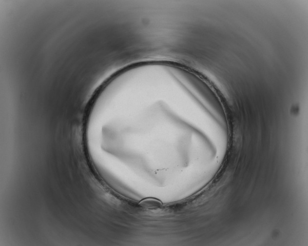 X0000100351460200807031802