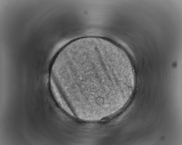 X0000100351461200807031802