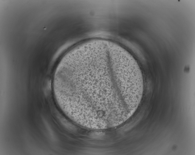 X0000100351462200807031802