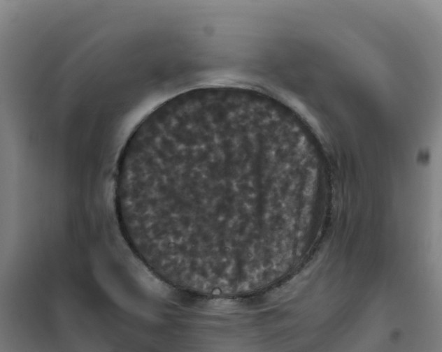 X0000100351463200807031802